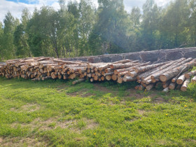 Polttopuuta, Muu piha ja puutarha, Piha ja puutarha, Mikkeli, Tori.fi Polttopuuta, Muu piha ja puutarha, Piha ja puutarha, Mikkeli, Tori.fi