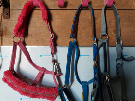Päitset ponille, Satulat ja varusteet, Hevoset ja hevosurheilu, Tornio, Tori.fi Päitset ponille, Satulat ja varusteet, Hevoset ja hevosurheilu, Tornio, Tori.fi