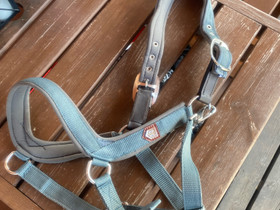 Trinityn riimu COB käyttämätön, Satulat ja varusteet, Hevoset ja hevosurheilu, Nurmijärvi, Tori.fi Trinityn riimu COB käyttämätön, Satulat ja varusteet, Hevoset ja hevosurheilu, Nurmijärvi, Tori.fi