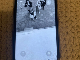 Iphone XR 64gp, Puhelimet, Puhelimet ja tarvikkeet, Tampere, Tori.fi Iphone XR 64gp, Puhelimet, Puhelimet ja tarvikkeet, Tampere, Tori.fi
