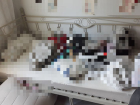 Metallinen levitettävä sohvasänky, Sängyt ja makuuhuone, Sisustus ja huonekalut, Nurmes, Tori.fi Metallinen levitettävä sohvasänky, Sängyt ja makuuhuone, Sisustus ja huonekalut, Nurmes, Tori.fi