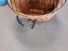 Pienen koiran/kissan kuljetus kori pyörään., Muut eläintarvikkeet, Lemmikkieläimet, Joensuu, Tori.fi Pienen koiran/kissan kuljetus kori pyörään., Muut eläintarvikkeet, Lemmikkieläimet, Joensuu, Tori.fi