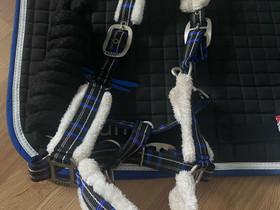 Ponille, Satulat ja varusteet, Hevoset ja hevosurheilu, Joensuu, Tori.fi Ponille, Satulat ja varusteet, Hevoset ja hevosurheilu, Joensuu, Tori.fi