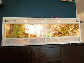 Terraario 145x47x50 sisustuksineen, Muut eläintarvikkeet, Lemmikkieläimet, Hämeenlinna, Tori.fi Terraario 145x47x50 sisustuksineen, Muut eläintarvikkeet, Lemmikkieläimet, Hämeenlinna, Tori.fi