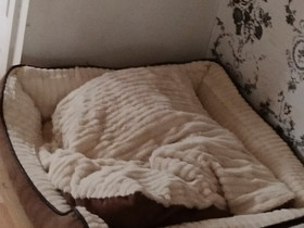 Koiralle pehmeä peti, Koirien tarvikkeet, Lemmikkieläimet, Iitti, Tori.fi Koiralle pehmeä peti, Koirien tarvikkeet, Lemmikkieläimet, Iitti, Tori.fi