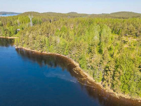 5000m², Leukointie, Puumala, Tontit, Puumala, Tori.fi 5000m², Leukointie, Puumala, Tontit, Puumala, Tori.fi
