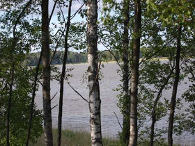 1.06 ha, Trollvikintie 52, Pyhtää, Tontit, Pyhtää, Tori.fi 1.06 ha, Trollvikintie 52, Pyhtää, Tontit, Pyhtää, Tori.fi