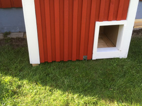 Uusi koirankoppi, Koirien tarvikkeet, Lemmikkieläimet, Kauhava, Tori.fi Uusi koirankoppi, Koirien tarvikkeet, Lemmikkieläimet, Kauhava, Tori.fi