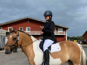 Risteytysponi, Hevoset ja ponit, Hevoset ja hevosurheilu, Mikkeli, Tori.fi Risteytysponi, Hevoset ja ponit, Hevoset ja hevosurheilu, Mikkeli, Tori.fi
