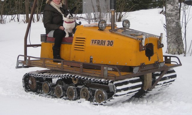 Terri 30