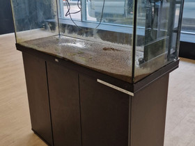 Juwel Rio 240LED aquarium, Kalat ja akvaariot, Lemmikkieläimet, Kuopio, Tori.fi Juwel Rio 240LED aquarium, Kalat ja akvaariot, Lemmikkieläimet, Kuopio, Tori.fi