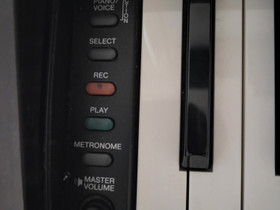 Yamaha YDP-131 ja piano penkki, Pianot, urut ja koskettimet, Musiikki ja soittimet, Riihimäki, Tori.fi Yamaha YDP-131 ja piano penkki, Pianot, urut ja koskettimet, Musiikki ja soittimet, Riihimäki, Tori.fi