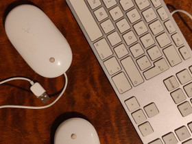Apple näppäimistö ja hiiret, Oheislaitteet, Tietokoneet ja lisälaitteet, Raahe, Tori.fi Apple näppäimistö ja hiiret, Oheislaitteet, Tietokoneet ja lisälaitteet, Raahe, Tori.fi