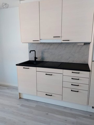 Uusi yksiö, kuva 1