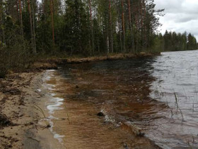 Lietukkaranta 176-405-14-47, Kajoo, Metsätilat ja maatilat, Helsinki, Tori.fi Lietukkaranta 176-405-14-47, Kajoo, Metsätilat ja maatilat, Helsinki, Tori.fi