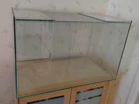 Suuri terraario tasolla jyrsijälle, Jyrsijät, Lemmikkieläimet, Ulvila, Tori.fi Suuri terraario tasolla jyrsijälle, Jyrsijät, Lemmikkieläimet, Ulvila, Tori.fi