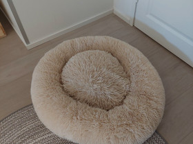 Koiran beige pörröpeti, Koirien tarvikkeet, Lemmikkieläimet, Jyväskylä, Tori.fi Koiran beige pörröpeti, Koirien tarvikkeet, Lemmikkieläimet, Jyväskylä, Tori.fi