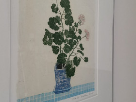 O: Inari Krohn pelargonia, Taulut, Sisustus ja huonekalut, Pori, Tori.fi O: Inari Krohn pelargonia, Taulut, Sisustus ja huonekalut, Pori, Tori.fi