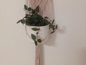 Makramee seinäamppeli, Muu sisustus, Sisustus ja huonekalut, Kajaani, Tori.fi Makramee seinäamppeli, Muu sisustus, Sisustus ja huonekalut, Kajaani, Tori.fi