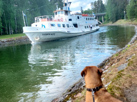 Rivitaloasunto Vääksystä, Mökit ja loma-asunnot, Asikkala, Tori.fi Rivitaloasunto Vääksystä, Mökit ja loma-asunnot, Asikkala, Tori.fi