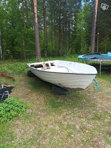 Pulpettivene, kuva 1