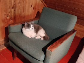 Retro nojatuoli, Sohvat ja nojatuolit, Sisustus ja huonekalut, Pieksämäki, Tori.fi Retro nojatuoli, Sohvat ja nojatuolit, Sisustus ja huonekalut, Pieksämäki, Tori.fi