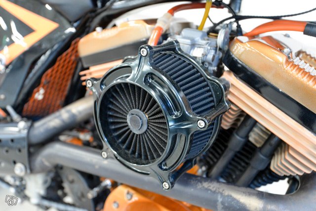Harley-Davidson XL 883C 17