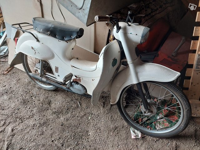 Jaguar mopo, kuva 1