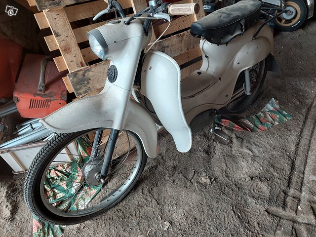 Jaguar mopo 2