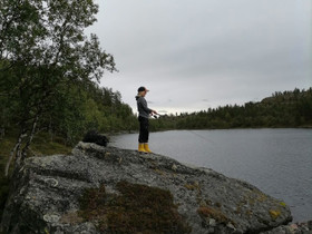 Opettaja etsii asuntoa, Vuokrattavat asunnot, Asunnot, Rovaniemi, Tori.fi Opettaja etsii asuntoa, Vuokrattavat asunnot, Asunnot, Rovaniemi, Tori.fi