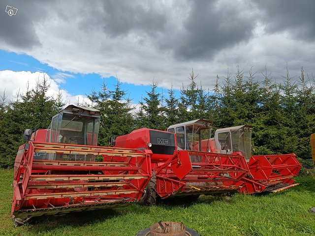 Etsin Massey Ferguson puimuri