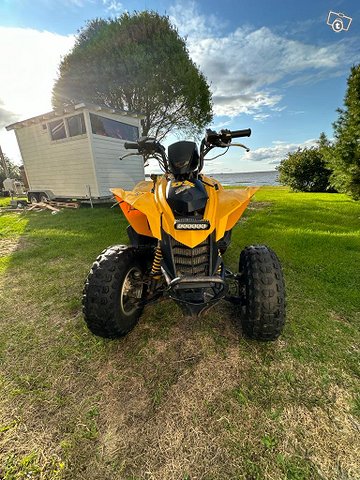 Can-am ds 250, kuva 1