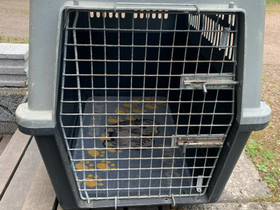 Koiran kuljetuskoppa XL, Koirien tarvikkeet, Lemmikkieläimet, Kouvola, Tori.fi Koiran kuljetuskoppa XL, Koirien tarvikkeet, Lemmikkieläimet, Kouvola, Tori.fi