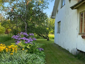 Tontti 5.000 neliötä ja vanha talo, ulkorakennus, Tontit, Mikkeli, Tori.fi Tontti 5.000 neliötä ja vanha talo, ulkorakennus, Tontit, Mikkeli, Tori.fi