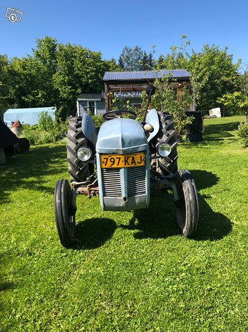 Harmaa fergu ted-20 bensa, kuva 1