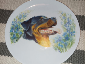 Rottweiler lautanen, Sisustustavarat, Sisustus ja huonekalut, Lieto, Tori.fi Rottweiler lautanen, Sisustustavarat, Sisustus ja huonekalut, Lieto, Tori.fi
