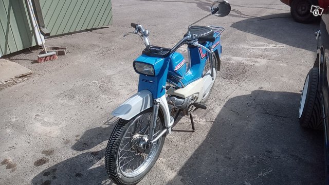Pappa tunturi, kuva 1