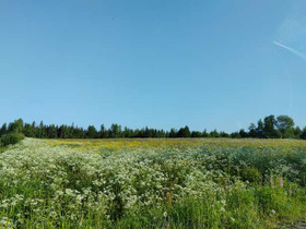 1.9 ha, Piimäsillantie, Jyväskylä, Tontit, Jyväskylä, Tori.fi 1.9 ha, Piimäsillantie, Jyväskylä, Tontit, Jyväskylä, Tori.fi