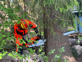 Juhan puunkaatopalvelu, Palvelut, Loimaa, Tori.fi Juhan puunkaatopalvelu, Palvelut, Loimaa, Tori.fi