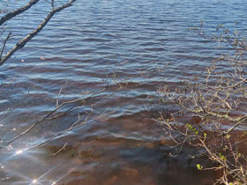 5000m², Kellariniementie, Hankasalmi, Tontit, Hankasalmi, Tori.fi 5000m², Kellariniementie, Hankasalmi, Tontit, Hankasalmi, Tori.fi