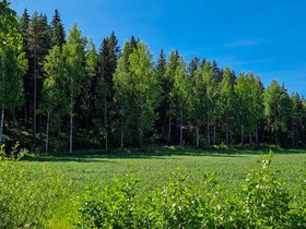 1.42 ha, Sommarnäsintie 93, Sipoo, Tontit, Sipoo, Tori.fi 1.42 ha, Sommarnäsintie 93, Sipoo, Tontit, Sipoo, Tori.fi