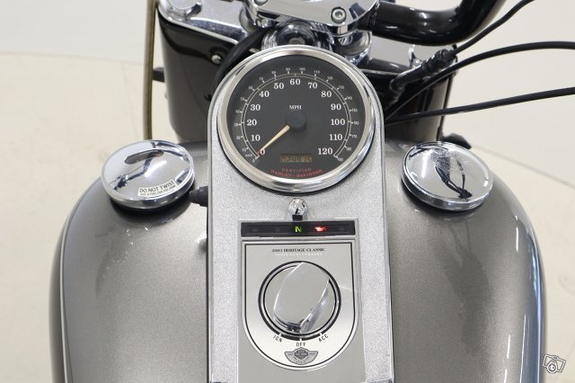 Harley-Davidson Softail 10