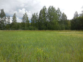 5500m², Valkeisentie 411, Toivakka, Tontit, Toivakka, Tori.fi 5500m², Valkeisentie 411, Toivakka, Tontit, Toivakka, Tori.fi