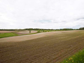 Latopellontie, Kinnula, Metsätilat ja maatilat, Kinnula, Tori.fi Latopellontie, Kinnula, Metsätilat ja maatilat, Kinnula, Tori.fi