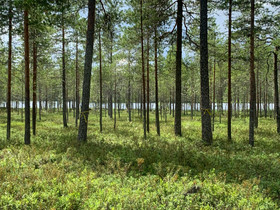 Liput, Keikat, konsertit ja tapahtumat, Matkat ja liput, Oulu, Tori.fi Liput, Keikat, konsertit ja tapahtumat, Matkat ja liput, Oulu, Tori.fi