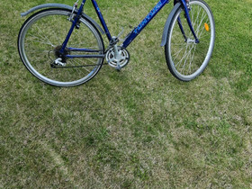 Tunturi 300 hybriidipyörä., Hybridipyörät, Polkupyörät ja pyöräily, Kokkola, Tori.fi Tunturi 300 hybriidipyörä., Hybridipyörät, Polkupyörät ja pyöräily, Kokkola, Tori.fi