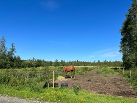 Tarjolla pihatto/kylmä talli, Metsätilat ja maatilat, Toivakka, Tori.fi Tarjolla pihatto/kylmä talli, Metsätilat ja maatilat, Toivakka, Tori.fi