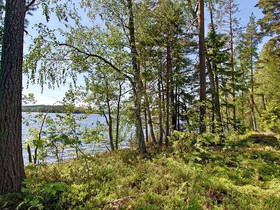 9070m², Iso-Liesi Iso-Liesinlenkki tontti 8, Jämsä, Tontit, Juupajoki, Tori.fi 9070m², Iso-Liesi Iso-Liesinlenkki tontti 8, Jämsä, Tontit, Juupajoki, Tori.fi
