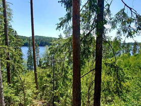 8700m², Iso-Liesi Iso-Liesinlenkki tontti 10, Jäms, Tontit, Juupajoki, Tori.fi 8700m², Iso-Liesi Iso-Liesinlenkki tontti 10, Jäms, Tontit, Juupajoki, Tori.fi