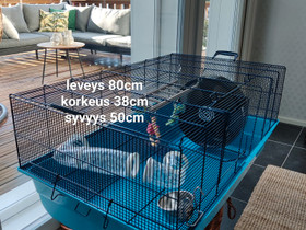 Hamsterin häkki, Jyrsijät, Lemmikkieläimet, Kuopio, Tori.fi Hamsterin häkki, Jyrsijät, Lemmikkieläimet, Kuopio, Tori.fi